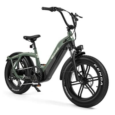 VELOWAVE Electric Bike for Adults 750W BAFANG Motor Ebikes