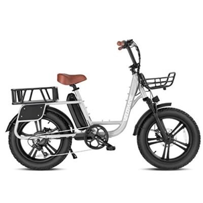 VELOWAVE Prado S Electric Bike for Adult 750W BAFANG Motor